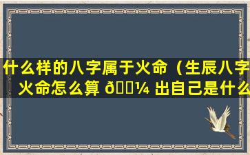 什么样的八字属于火命（生辰八字火命怎么算 🌼 出自己是什么 🌿 火）